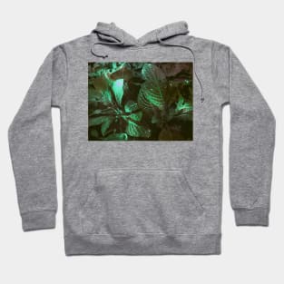 Natura Dreams IX Hoodie